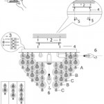 英国S QL01259 说明书
